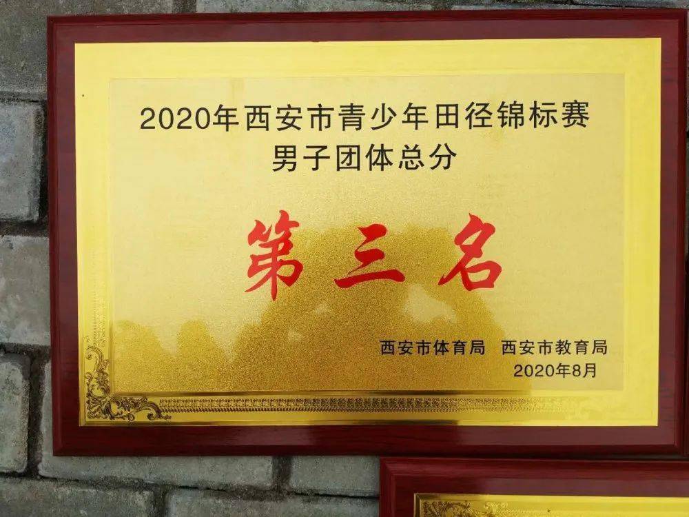 爱沙尼亚体育代表团奋力拼搏，取得佳绩