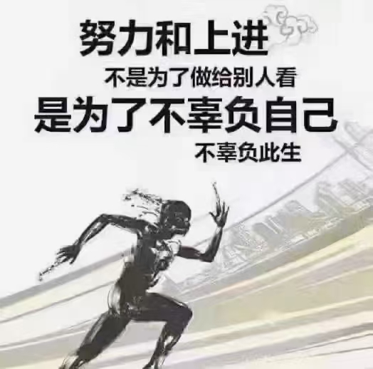 勒沃库森球队鏖战在即，艰难前行，无畏前行