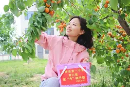 汉堡外围演逸冉通途，全力以赴摘取胜利果实