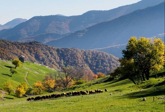 易胜博体育-保加利亚豪取胜利，实力雄厚令人惊艳