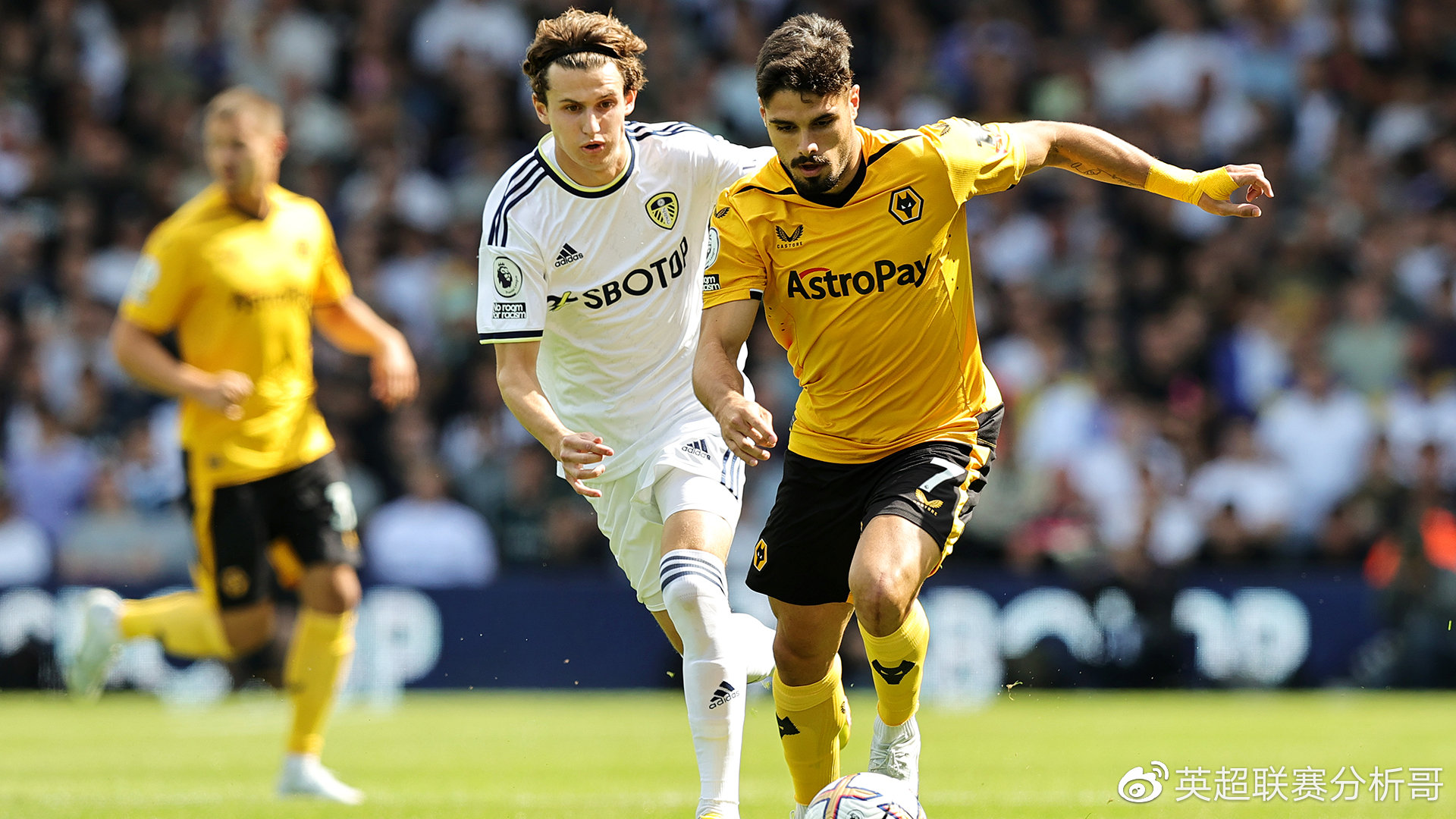 富勒姆主场胜狼队，逆转战绩稳步向前迈进