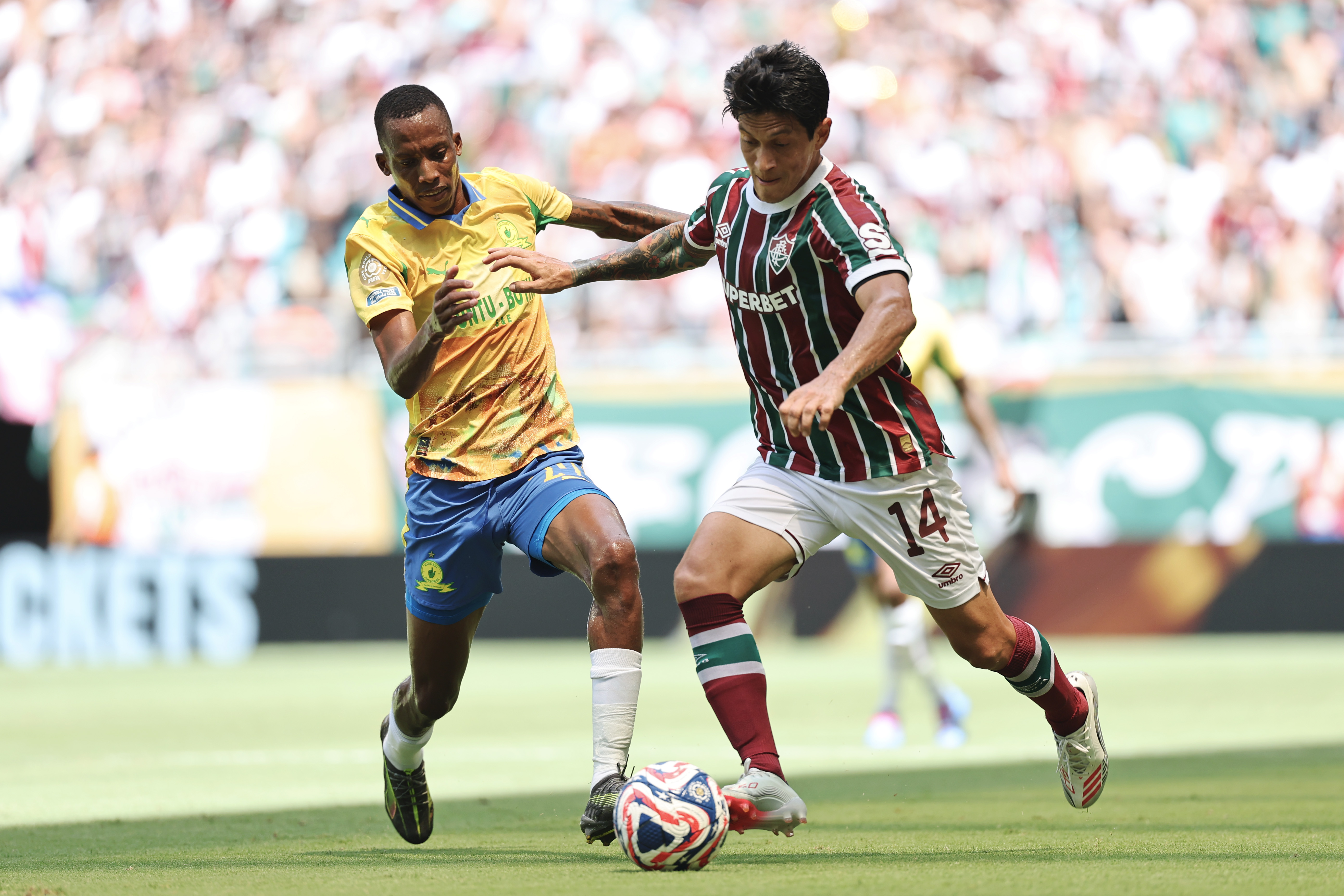 南非运动员不负众望取得佳绩 南非运动员不负众望取得佳绩