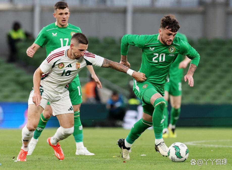 匈牙利队准备迎接欧洲冠军预选赛挑战