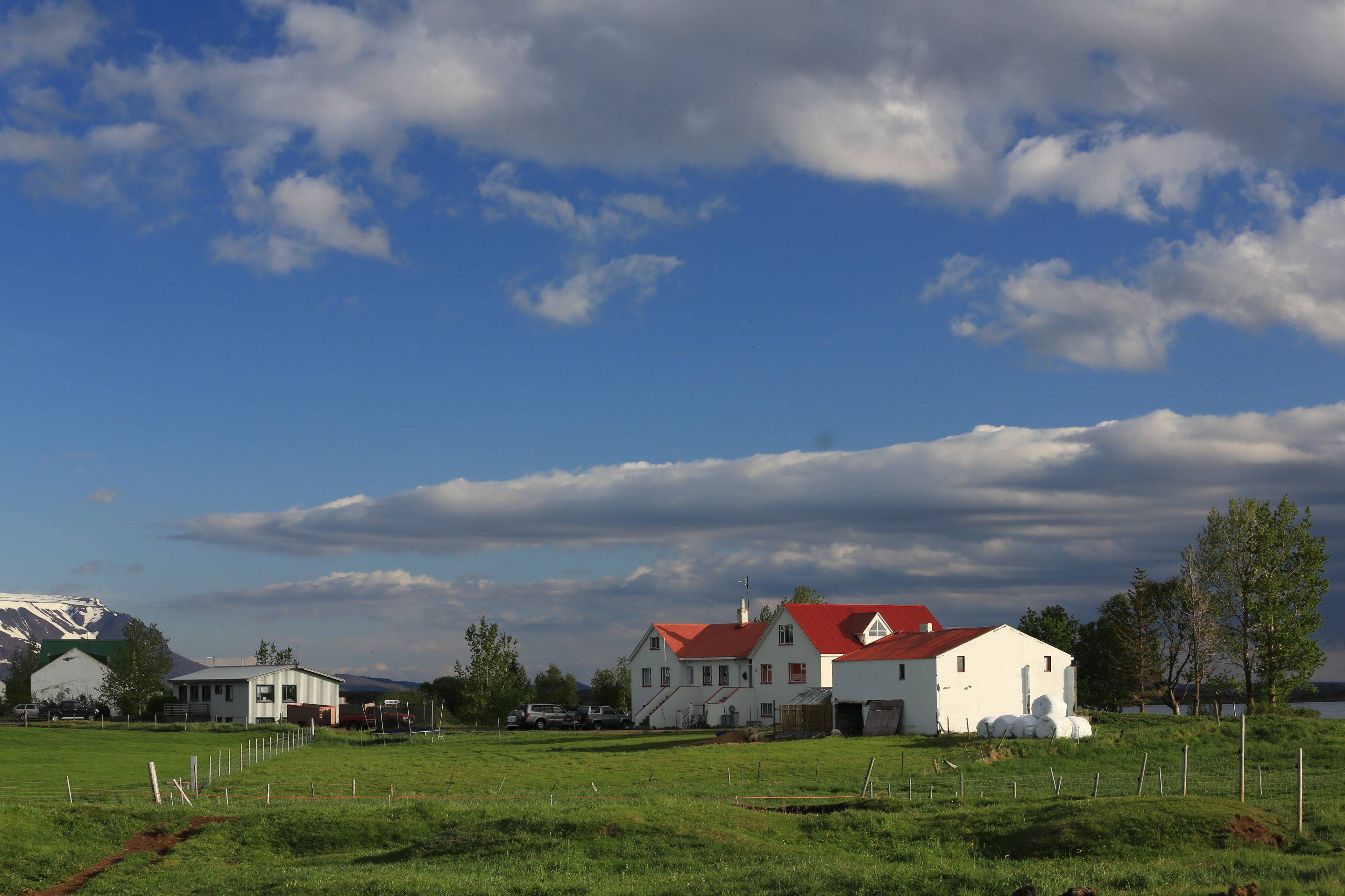 ysbSPORTS-丹麦力克冰岛，成功晋级